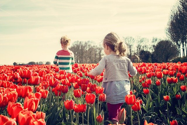 Dzieci wśród tulipanów